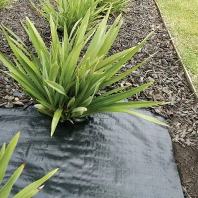 Coolaroo Heavy Duty Weed Mat 0.9X10M 502942