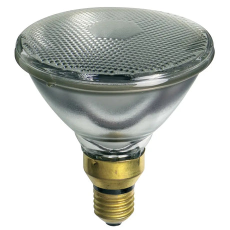 Parabolic reflector light bulb on a white background