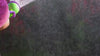 garden hand tools, pest control, hose, irrigation, power tools, weed control.
