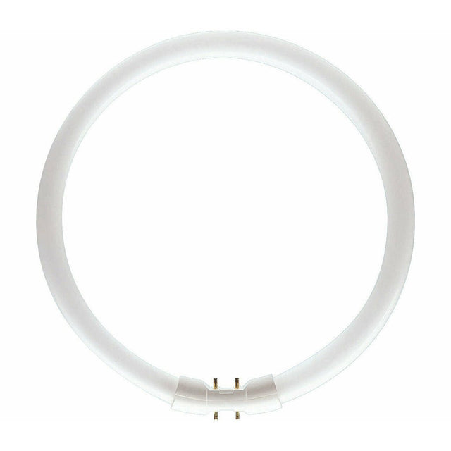 Riosheen T5 Circular Fluorescent 2GX13 40W/840 295mm