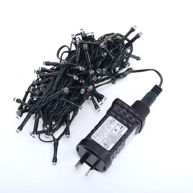 SANSAI AC Powered Fairy Lights Cool White 100LED GL - LC100CC