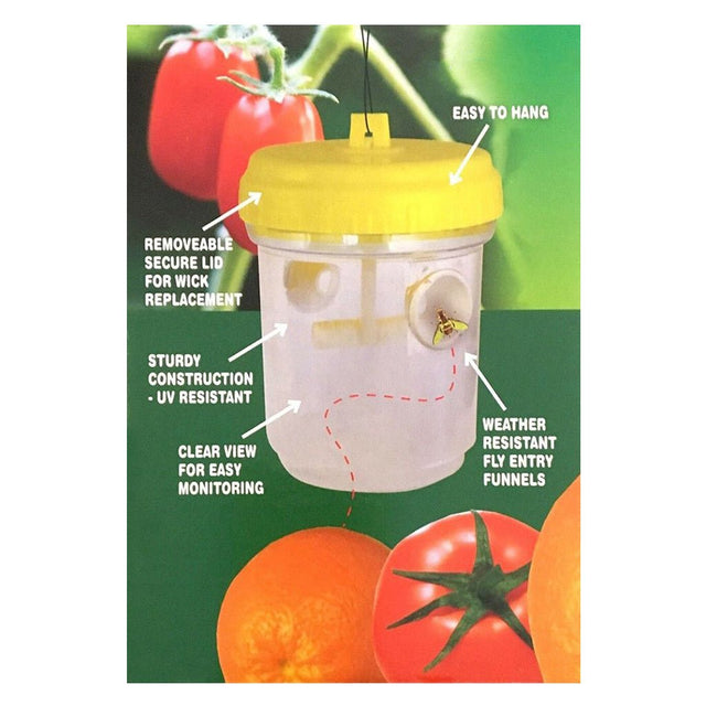 Searles Fruit Fly Trap SFFTRAP