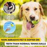 Tennis Fetch Balls 6.5cm 3Pcs 210336