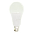 Lusion GLS LED Light Bulb B22 240V 15W C/DL 20435