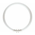 PHILIPS MASTER TL5 Circular 2GX13 55W/840 C/W 642516
