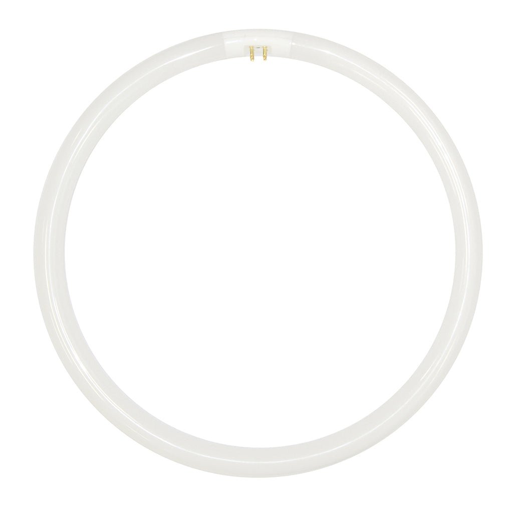 FSL T5 Circular Fluorescent G10q 220V 40W/865 300mm 254164