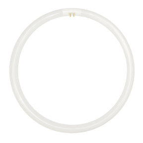 FSL T5 Circular Fluorescent G10q 220V 40W/865 300mm 254164