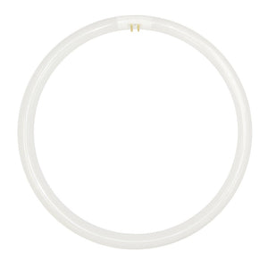 FSL T5 Circular Fluorescent G10q 220V 40W/865 300mm 254164
