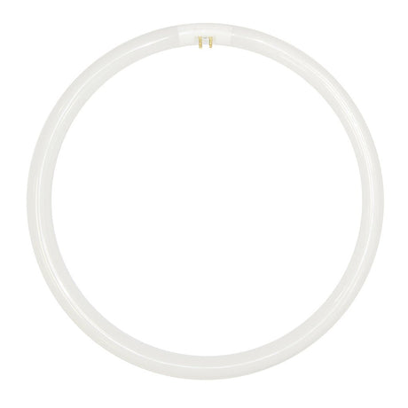 FSL T5 Circular Fluorescent G10q 220V 40W/865 300mm 254164