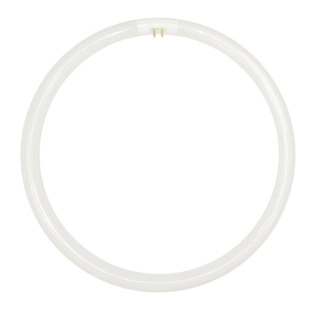 FSL T5 Circular Fluorescent G10q 220V 40W/865 300mm 254164