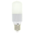 Lusion T38 LED Light Bulb E27 12V 9W C/DL Frosted 21003