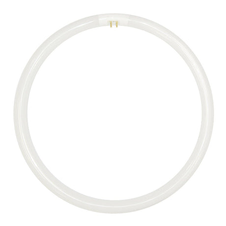 Lusion T5 Circular Fluorescent G10q 22W/840 185mm 30506