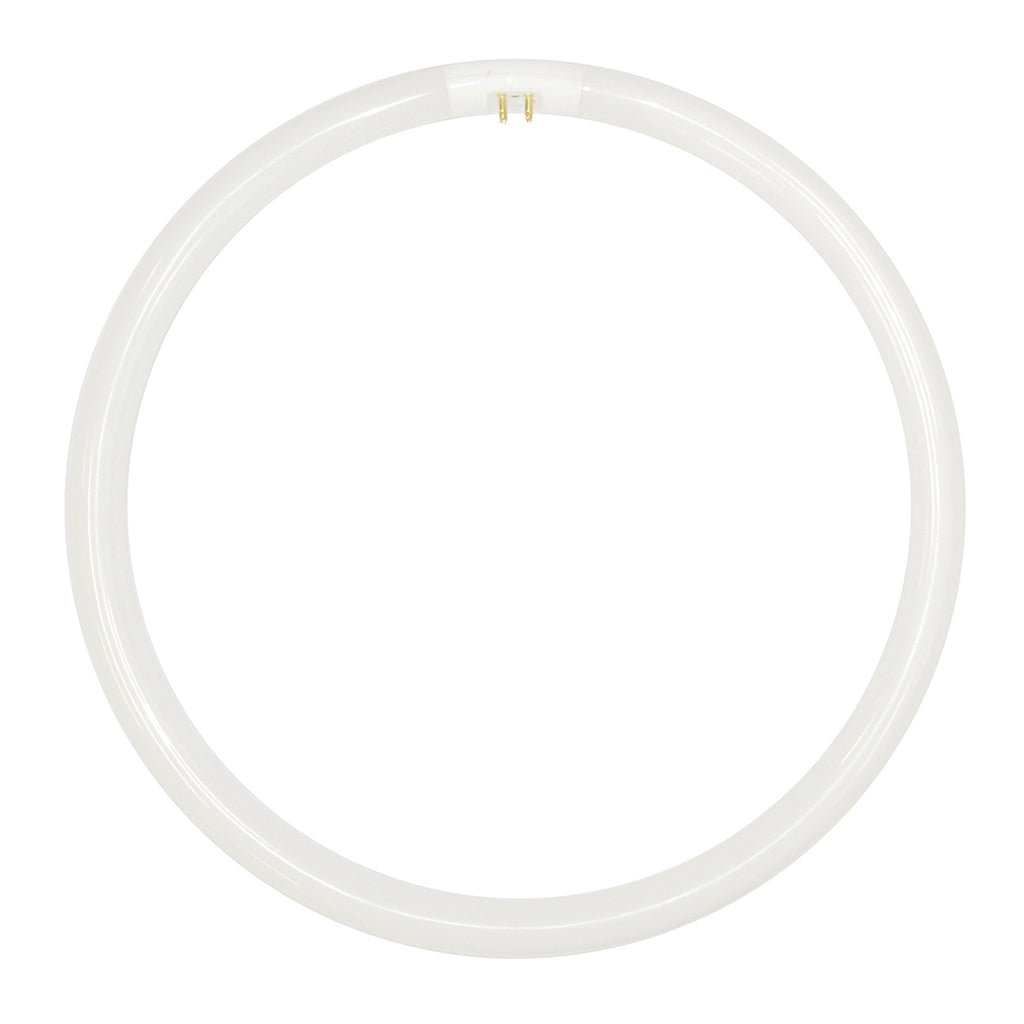 Lusion T5 Circular Fluorescent G10q 40W/840 277mm 30510