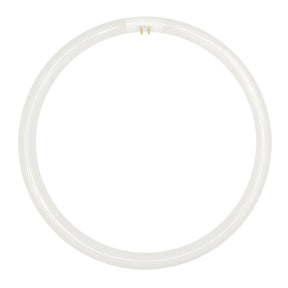 Lusion T5 Circular Fluorescent G10q 40W/840 277mm 30510