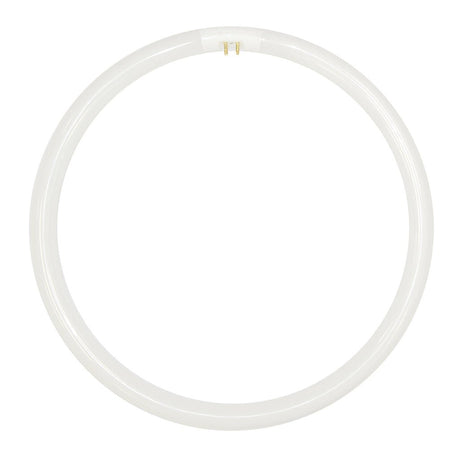 Lusion T5 Circular Fluorescent G10q 40W/840 277mm 30510