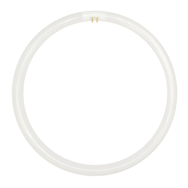 Lusion T5 Circular Fluorescent G10q 40W/840 277mm 30510