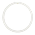 nls T5 Circular Fluorescent G10q 240V 55W/865 296mm