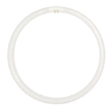 nls T5 Circular Fluorescent G10q 240V 55W/865 296mm