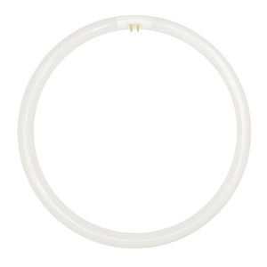 nls T5 Circular Fluorescent G10q 240V 55W/865 296mm