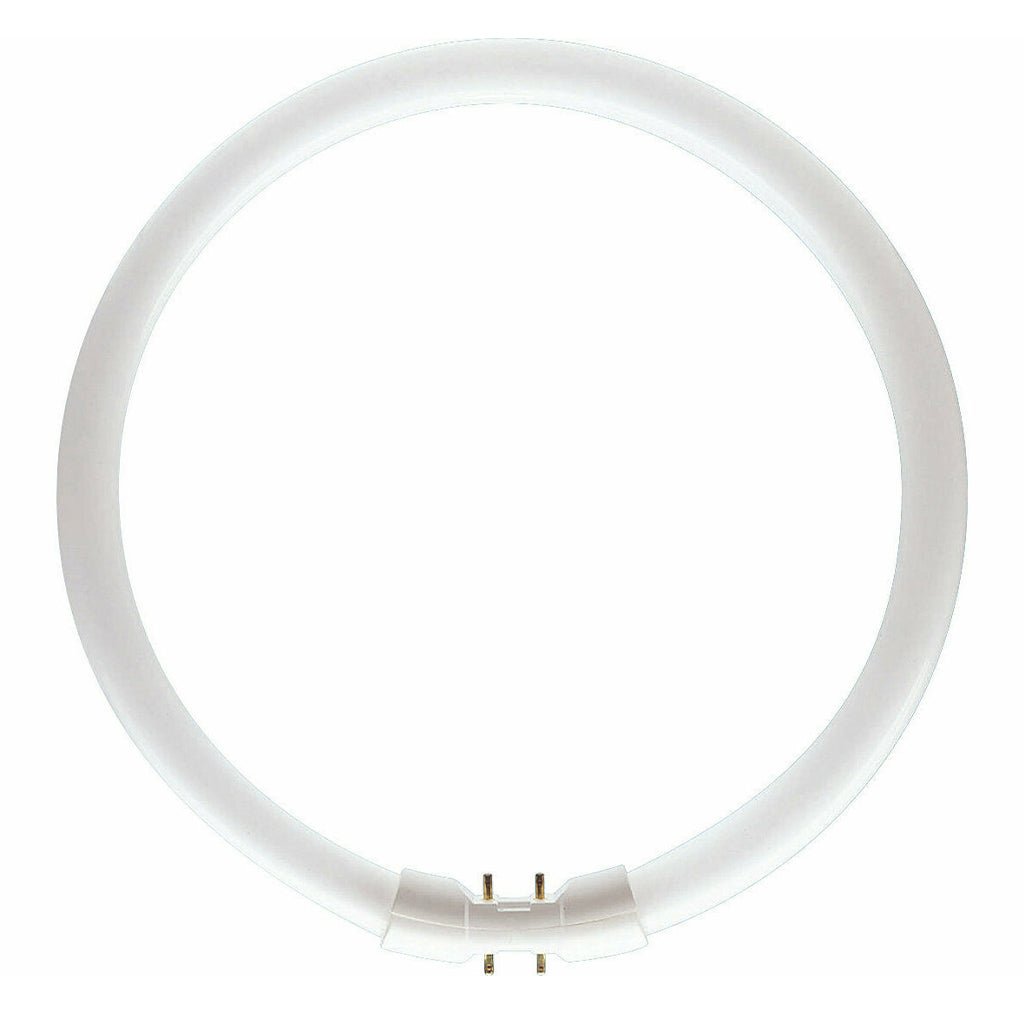 PHILIPS MASTER TL5 Circular Fluorescent 2GX13 22W/840 225mm