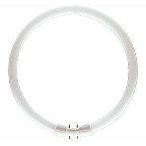 PHILIPS MASTER TL5 Circular Fluorescent 2GX13 22W/840 225mm