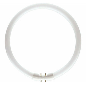 PHILIPS MASTER TL5 Circular Fluorescent 2GX13 22W/840 225mm