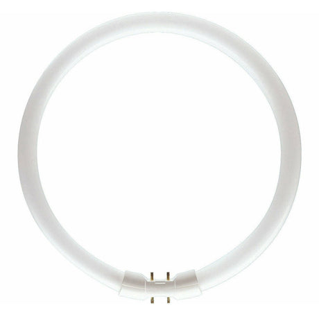 PHILIPS MASTER TL5 Circular Fluorescent 2GX13 22W/840 225mm