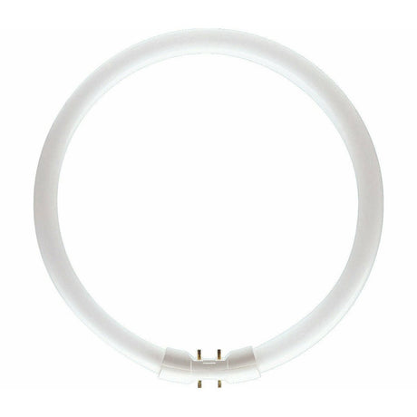 PHILIPS MASTER TL5 Circular Fluorescent 2GX13 55W/840 642516
